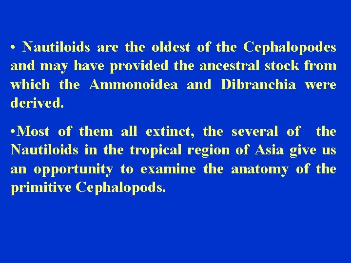  • Nautiloids are the oldest of the Cephalopodes and may have provided the