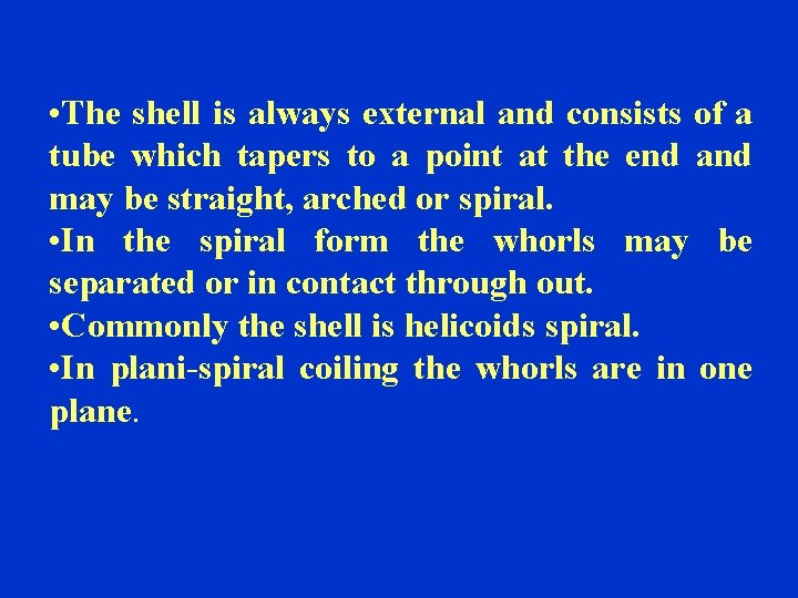  • The shell is always external and consists of a tube which tapers