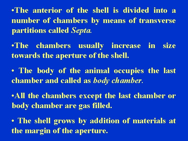  • The anterior of the shell is divided into a number of chambers