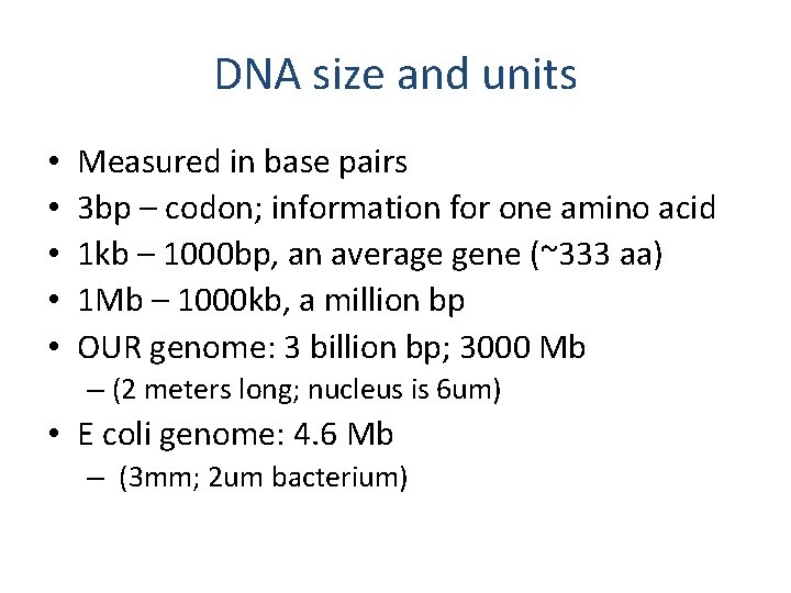 DNA size and units • • • Measured in base pairs 3 bp –