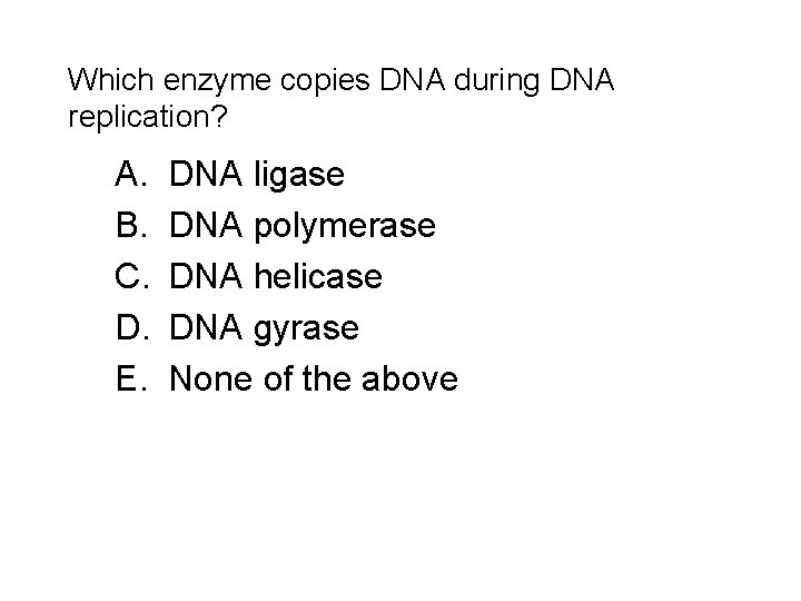 Which enzyme copies DNA during DNA replication? A. B. C. D. E. DNA ligase