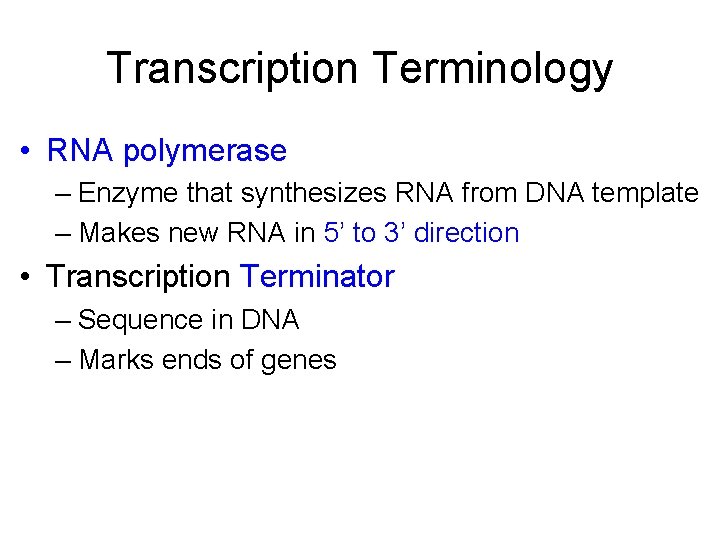 Transcription Terminology • RNA polymerase – Enzyme that synthesizes RNA from DNA template –