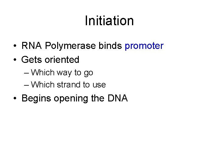 Initiation • RNA Polymerase binds promoter • Gets oriented – Which way to go