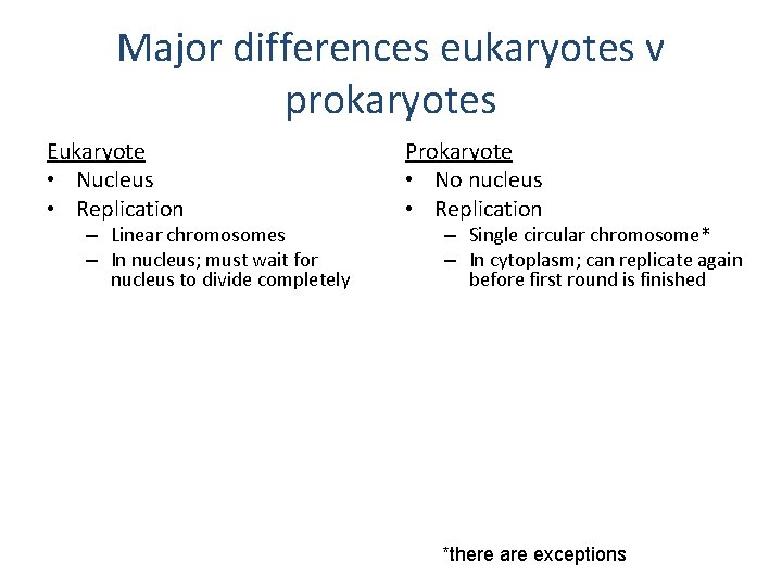 Major differences eukaryotes v prokaryotes Eukaryote • Nucleus • Replication Prokaryote • No nucleus