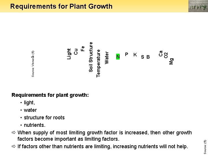 P K S B Requirements for plant growth: • light, • water • structure