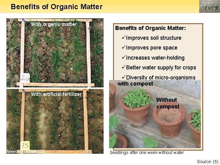 Benefits of Organic Matter With organic matter Benefits of Organic Matter: üImproves soil structure