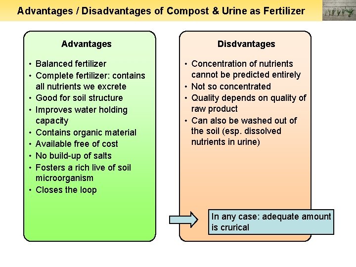Advantages / Disadvantages of Compost & Urine as Fertilizer Advantages Disdvantages • Balanced fertilizer
