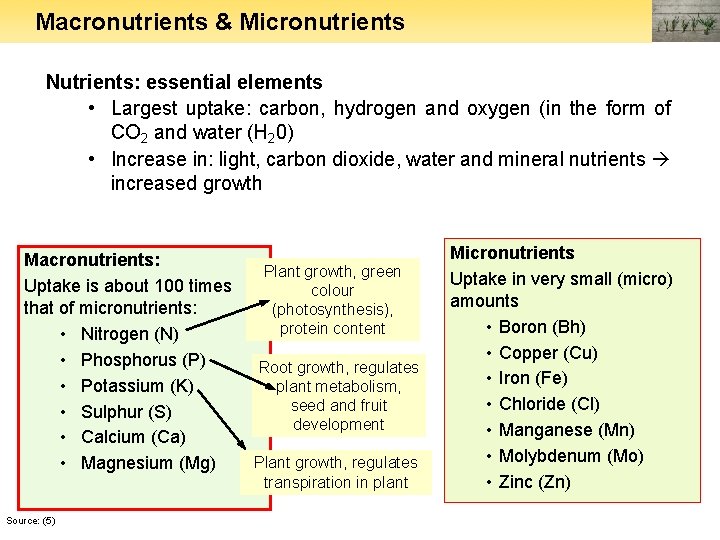 Macronutrients & Micronutrients Nutrients: essential elements • Largest uptake: carbon, hydrogen and oxygen (in