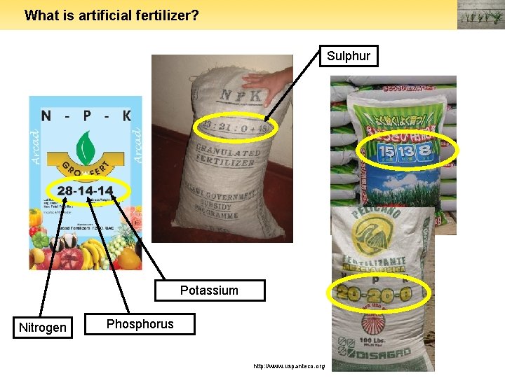 What is artificial fertilizer? Sulphur Potassium Nitrogen Phosphorus http: //www. uspanteco. org 