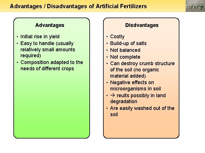 Advantages / Disadvantages of Artificial Fertilizers Advantages • Initial rise in yield • Easy