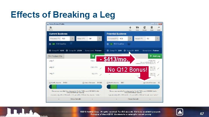 Effects of Breaking a Leg - $413/mo. No Q 12 Bonus! © 2013 Amway