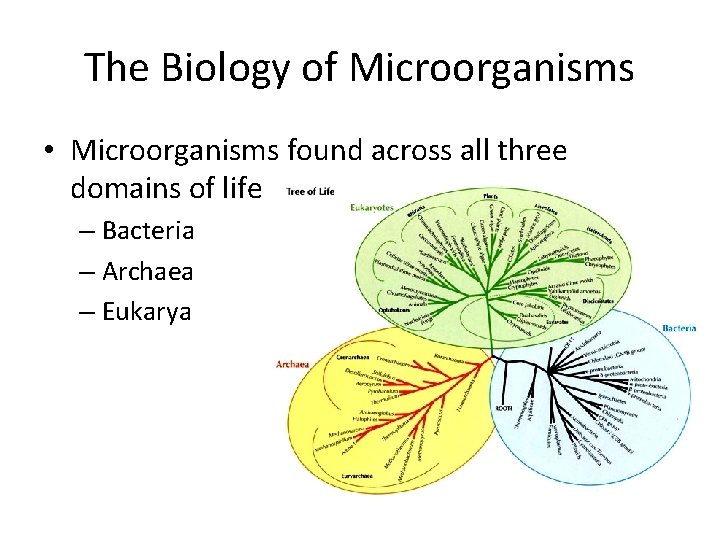 The Biology of Microorganisms • Microorganisms found across all three domains of life –