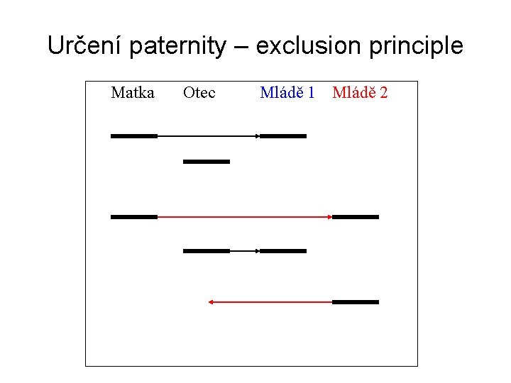 Určení paternity – exclusion principle Matka Otec Mládě 1 Mládě 2 