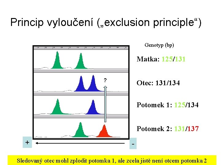 Princip vyloučení („exclusion principle“) Genotyp (bp) Matka: 125/131 ? Otec: 131/134 Potomek 1: 125/134