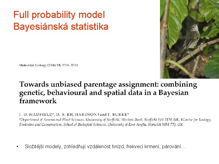 Full probability model Bayesiánská statistika • Složitější modely, zohledňují vzdálenost hnízd, frekveci krmení, párování…