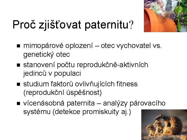 Proč zjišťovat paternitu? n n mimopárové oplození – otec vychovatel vs. genetický otec stanovení