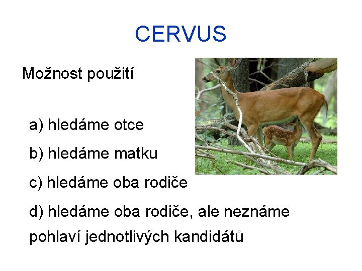 CERVUS Možnost použití a) hledáme otce b) hledáme matku c) hledáme oba rodiče d)