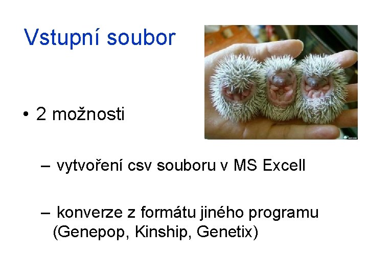 Vstupní soubor • 2 možnosti – vytvoření csv souboru v MS Excell – konverze