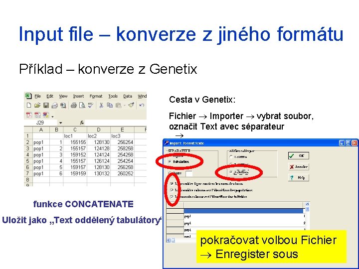 Input file – konverze z jiného formátu Příklad – konverze z Genetix Cesta v