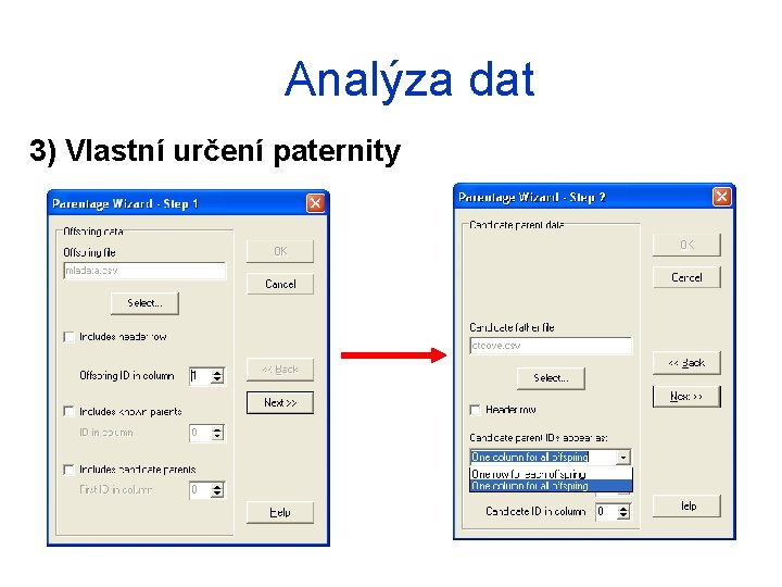 Analýza dat 3) Vlastní určení paternity 