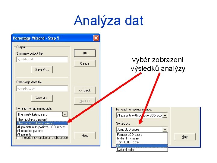 Analýza dat výběr zobrazení výsledků analýzy 