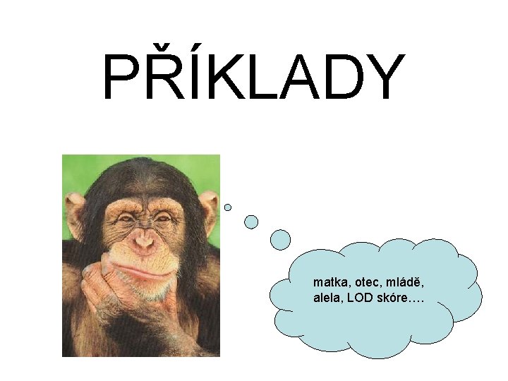 PŘÍKLADY matka, otec, mládě, alela, LOD skóre…. 