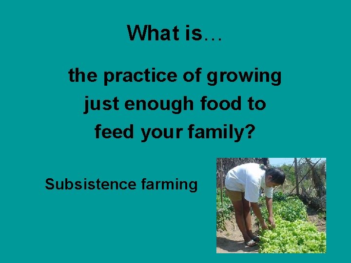 What is… the practice of growing just enough food to feed your family? Subsistence
