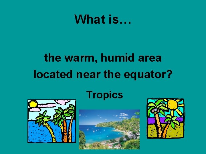 What is… the warm, humid area located near the equator? Tropics 