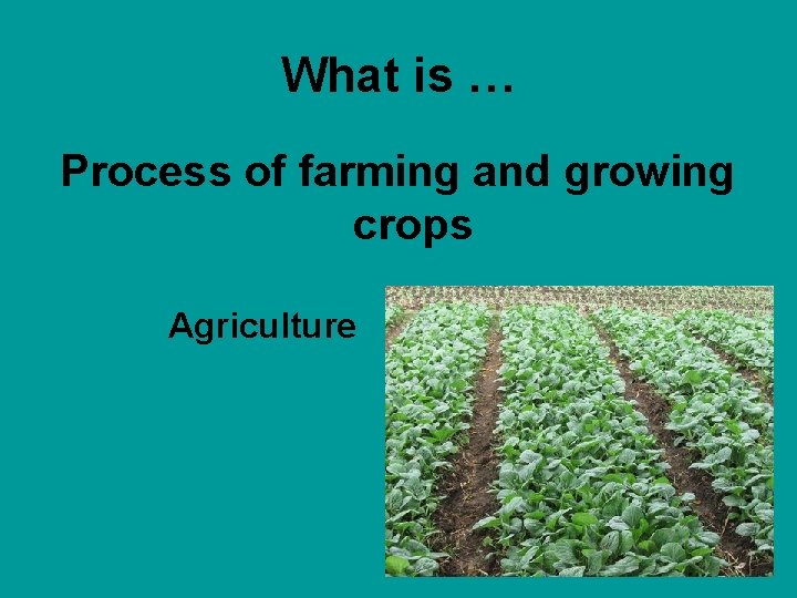 What is … Process of farming and growing crops Agriculture 