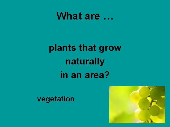 What are … plants that grow naturally in an area? vegetation 