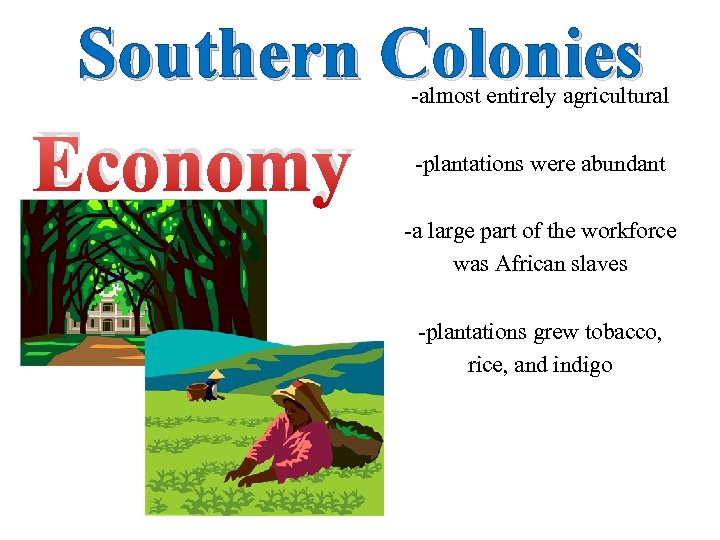 Southern Colonies Economy -almost entirely agricultural -plantations were abundant -a large part of the