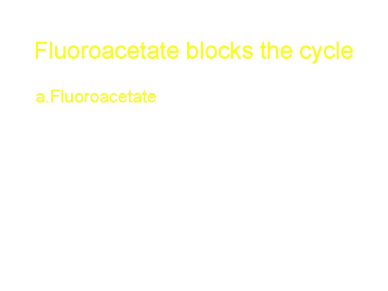 Fluoroacetate blocks the cycle a. Fluoroacetate is poisonous because it can convert to fluorocitrate