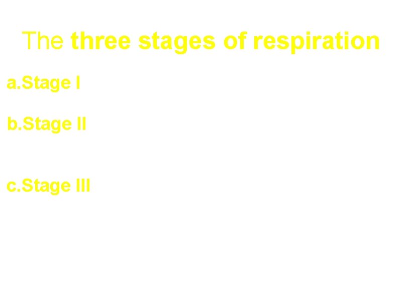 The three stages of respiration a. Stage I All the fuel molecules are oxidized