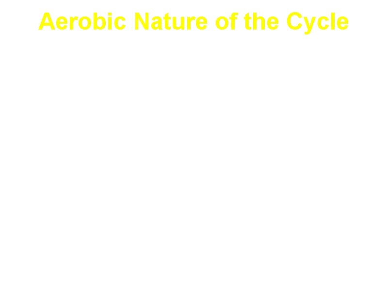 Aerobic Nature of the Cycle NADH and FADH 2 must be reoxidized by the