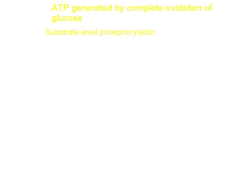 ATP generated by complete oxidation of Glucose glycolysis a. 2 ATP(Substrate-level phosphorylation) 2 b.