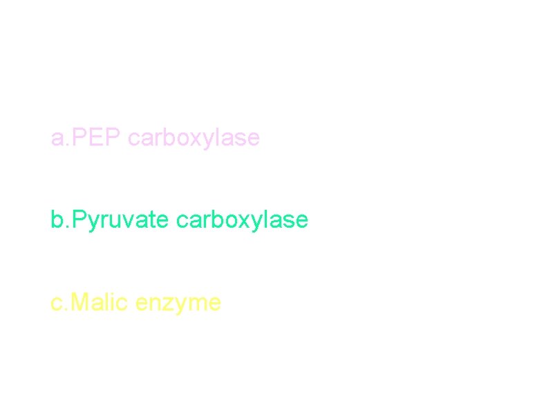 Anaplerotic reactions a. PEP carboxylase - converts PEP to oxaloacetate , Anaplerotic reaction in