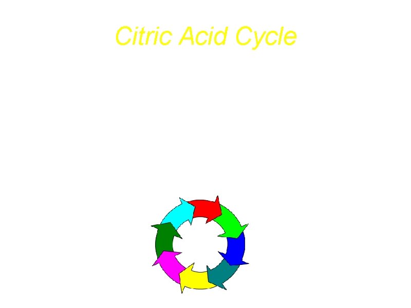 Citric Acid Cycle a. Hans Krebs proposed the “citric acid cycle” for the complete