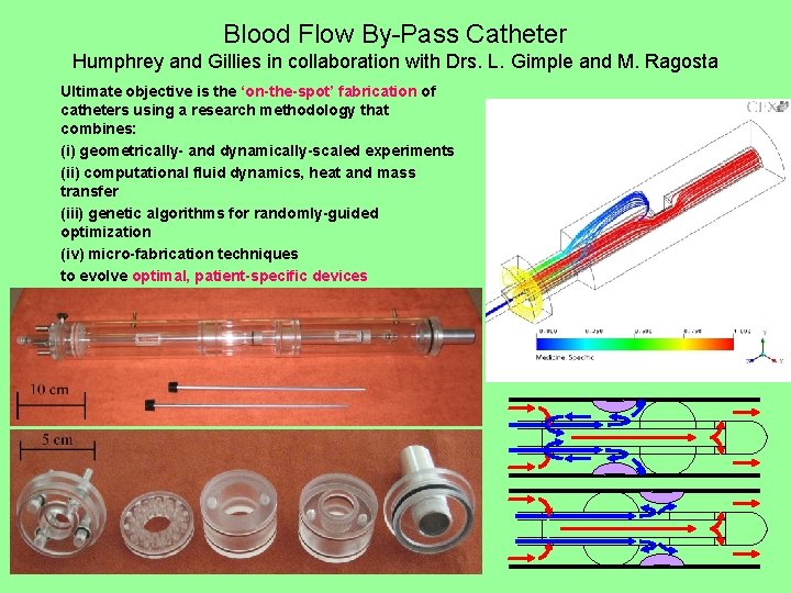 Blood Flow By-Pass Catheter Humphrey and Gillies in collaboration with Drs. L. Gimple and