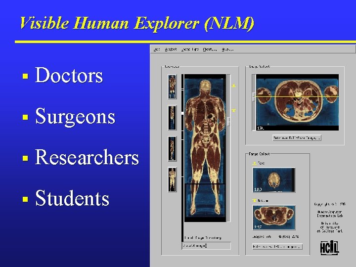 Visible Human Explorer (NLM) § Doctors § Surgeons § Researchers § Students 
