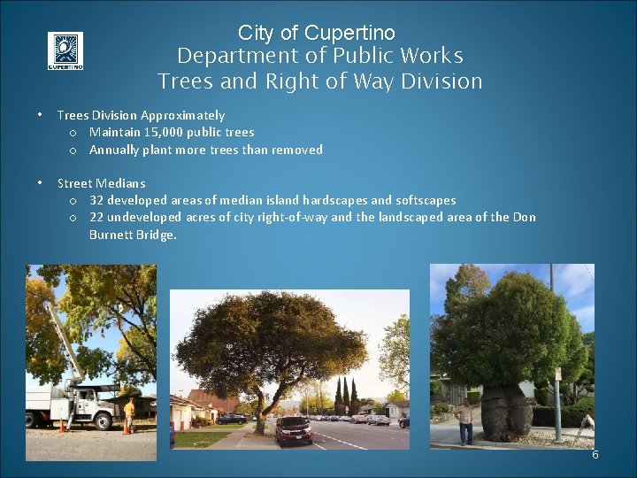 City of Cupertino Department of Public Works Trees and Right of Way Division •