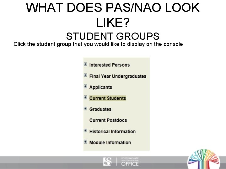WHAT DOES PAS/NAO LOOK LIKE? STUDENT GROUPS Click the student group that you would