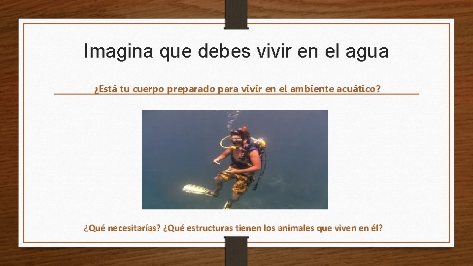 Imagina que debes vivir en el agua ¿Está tu cuerpo preparado para vivir en