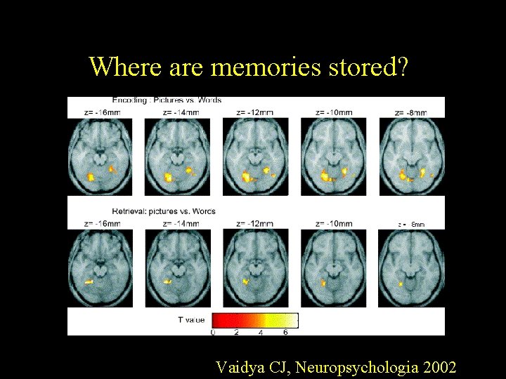 Where are memories stored? Vaidya CJ, Neuropsychologia 2002 