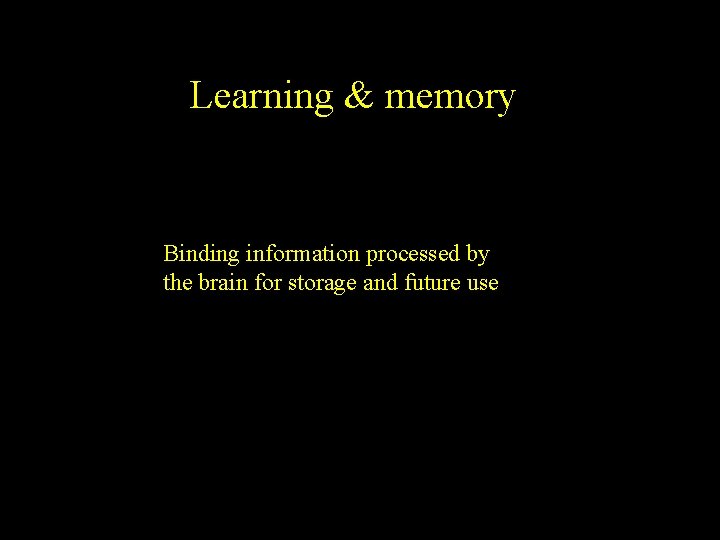 Learning & memory Binding information processed by the brain for storage and future use