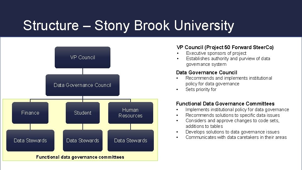 Structure – Stony Brook University VP Council (Project 50 Forward Steer. Co) • •