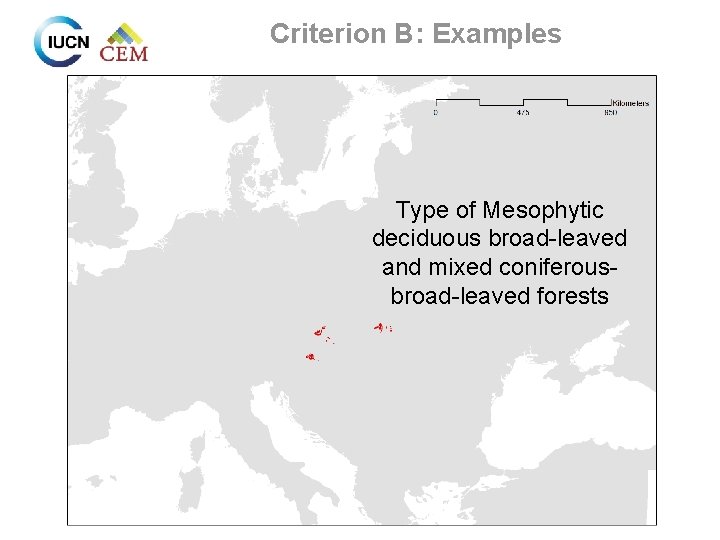 Criterion B: Examples Type of Mesophytic deciduous broad-leaved and mixed coniferousbroad-leaved forests 