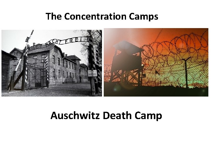 The Concentration Camps Auschwitz Death Camp 
