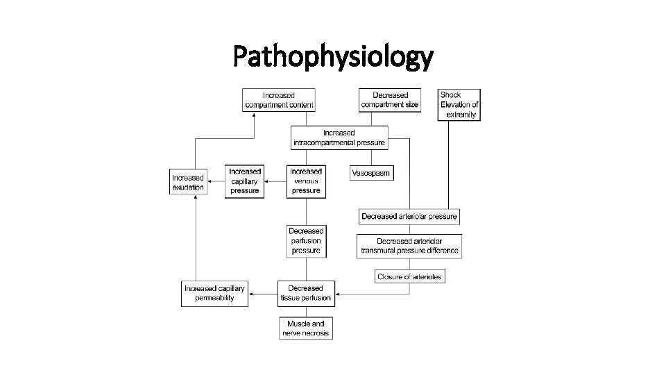 Pathophysiology 