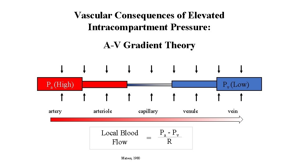 Vascular Consequences of Elevated Intracompartment Pressure: A-V Gradient Theory Pa (High) artery Pv (Low)