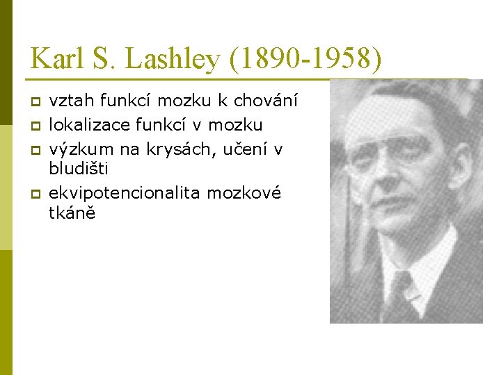 Karl S. Lashley (1890 -1958) p p vztah funkcí mozku k chování lokalizace funkcí